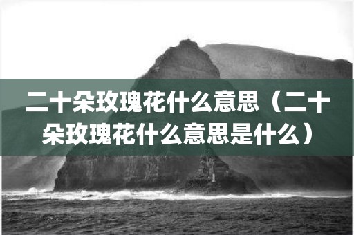 二十朵玫瑰花什么意思（二十朵玫瑰花什么意思是什么）