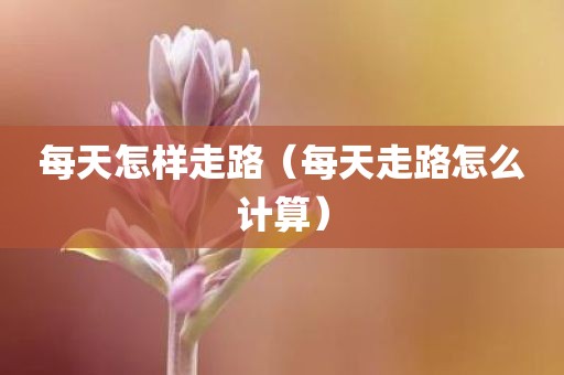 每天怎样走路（每天走路怎么计算）