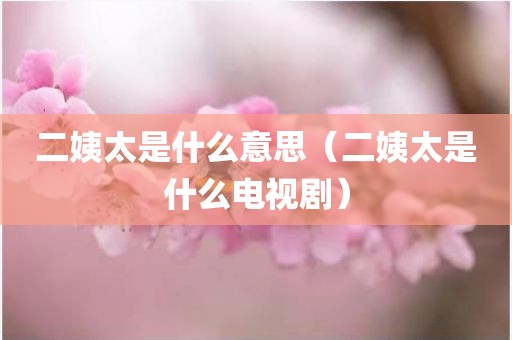 二姨太是什么意思（二姨太是什么电视剧）