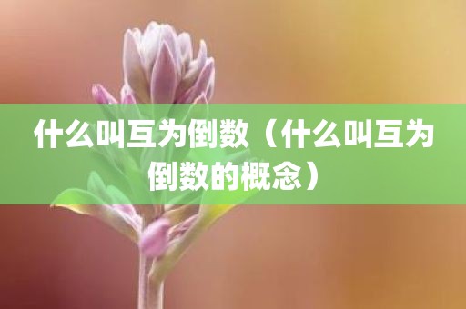 什么叫互为倒数（什么叫互为倒数的概念）