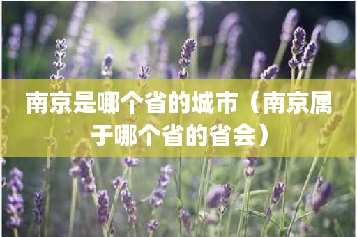 南京是哪个省的城市（南京属于哪个省的省会）