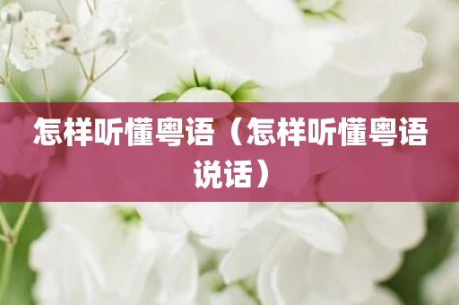 怎样听懂粤语（怎样听懂粤语说话）