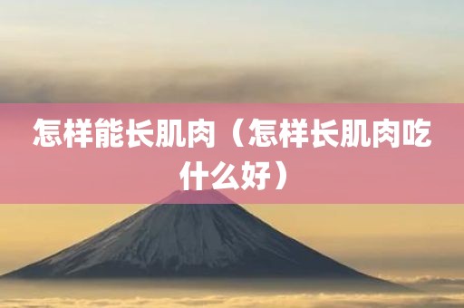 怎样能长肌肉（怎样长肌肉吃什么好）