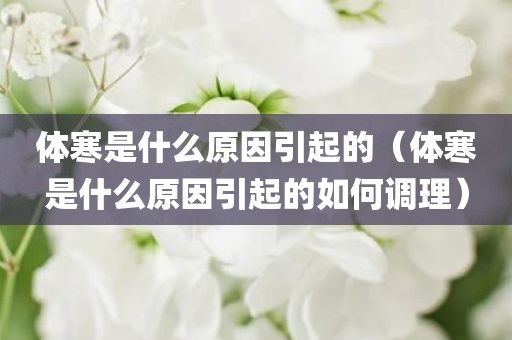 体寒是什么原因引起的（体寒是什么原因引起的如何调理）