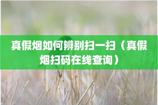真假烟如何辨别扫一扫（真假烟扫码在线查询）