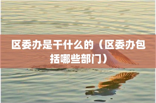 区委办是干什么的（区委办包括哪些部门）