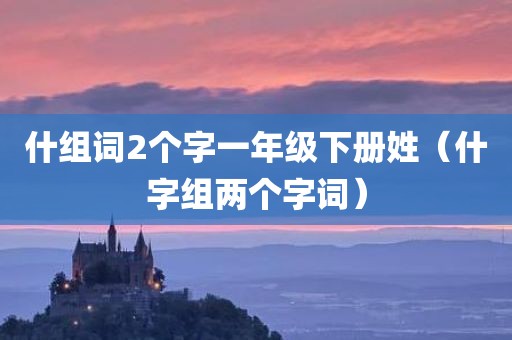 什组词2个字一年级下册姓（什字组两个字词）
