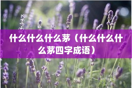 什么什么什么茅（什么什么什么茅四字成语）