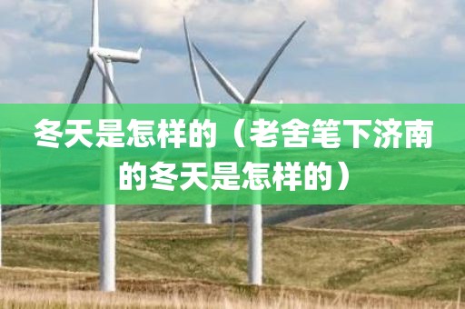 冬天是怎样的（老舍笔下济南的冬天是怎样的）