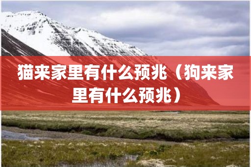猫来家里有什么预兆（狗来家里有什么预兆）