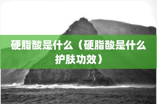 硬脂酸是什么(硬脂酸是什么护肤功效)