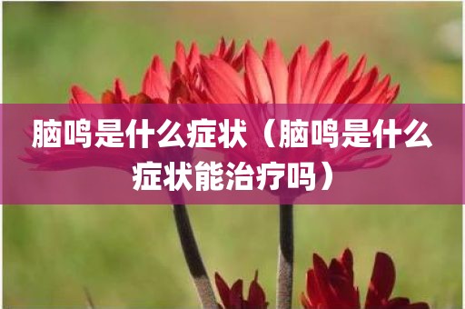 脑鸣是什么症状（脑鸣是什么症状能治疗吗）