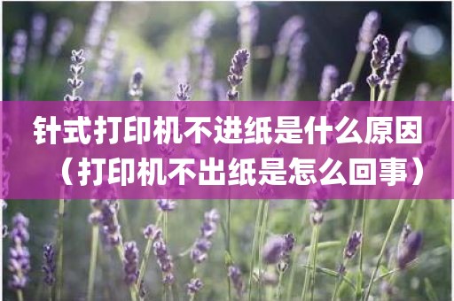 针式打印机不进纸是什么原因（打印机不出纸是怎么回事）