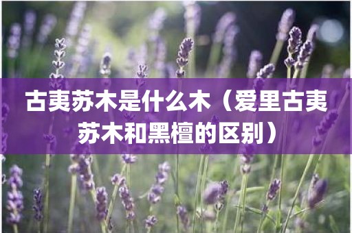 古夷苏木是什么木（爱里古夷苏木和黑檀的区别）