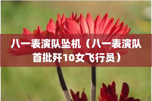 八一表演队坠机（八一表演队首批歼10女飞行员）