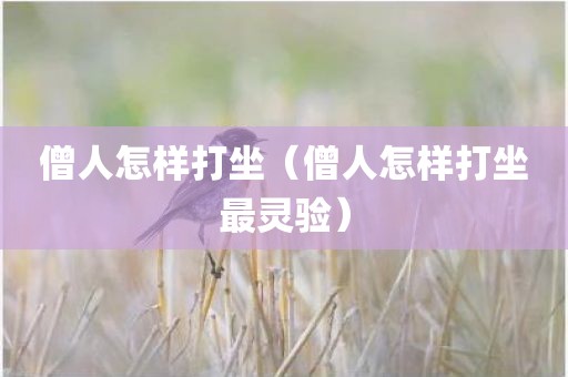 僧人怎样打坐（僧人怎样打坐最灵验）