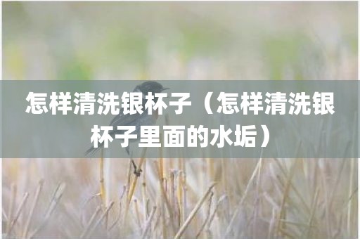怎样清洗银杯子（怎样清洗银杯子里面的水垢）