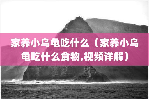 家养小乌龟吃什么(家养小乌龟吃什么食物,视频详解)