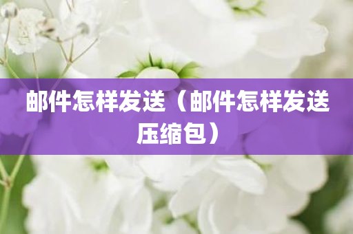 邮件怎样发送（邮件怎样发送压缩包）
