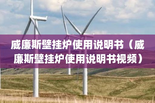 威廉斯壁挂炉使用说明书（威廉斯壁挂炉使用说明书视频）