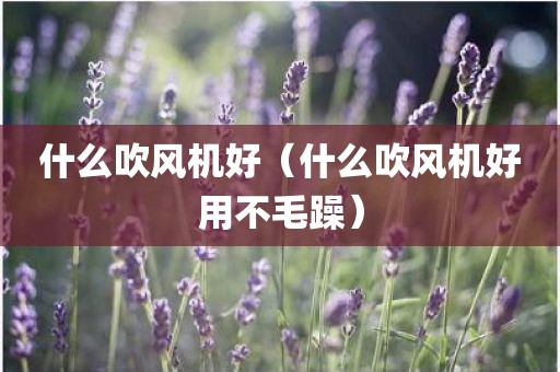 什么吹风机好（什么吹风机好用不毛躁）