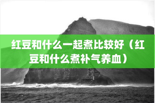 红豆和什么一起煮比较好（红豆和什么煮补气养血）