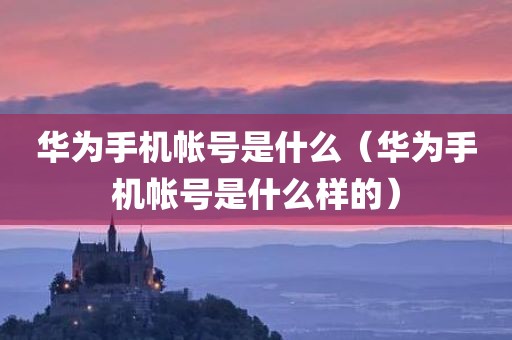 华为手机帐号是什么（华为手机帐号是什么样的）
