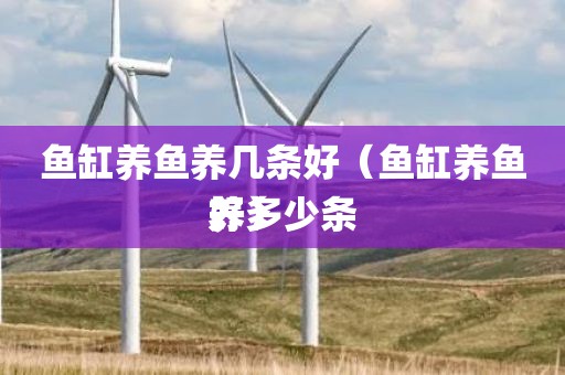 鱼缸养鱼养几条好（鱼缸养鱼养多少条好）