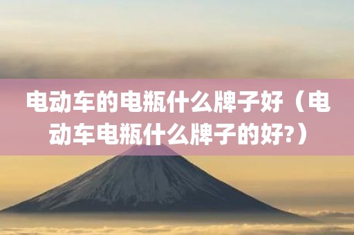 电动车的电瓶什么牌子好（电动车电瓶什么牌子的好?）