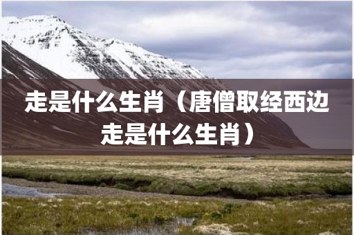 走是什么生肖(唐僧取经西边走是什么生肖)