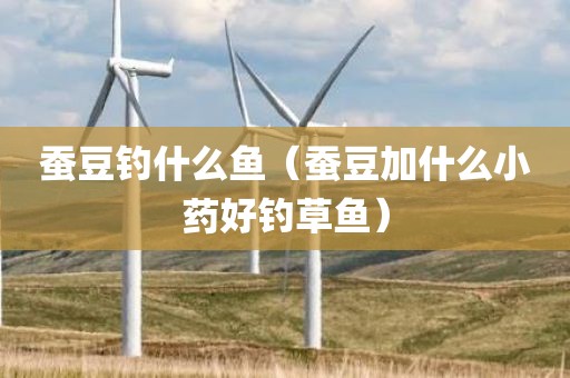 蚕豆钓什么鱼（蚕豆加什么小药好钓草鱼）