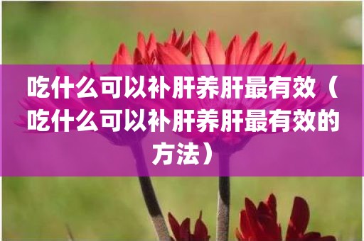 吃什么可以补肝养肝最有效（吃什么可以补肝养肝最有效的方法）