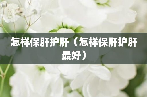 怎样保肝护肝（怎样保肝护肝最好）