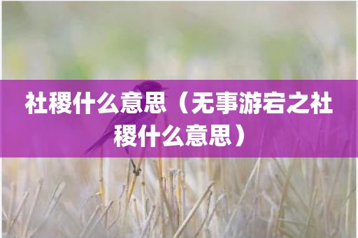 社稷什么意思（无事游宕之社稷什么意思）