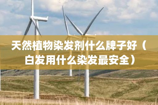 天然植物染发剂什么牌子好（白发用什么染发最安全）