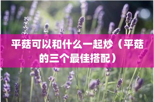 平菇可以和什么一起炒（平菇的三个最佳搭配）