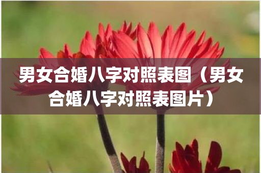男女合婚八字对照表图（男女合婚八字对照表图片）