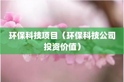 环保科技项目（环保科技公司投资价值）