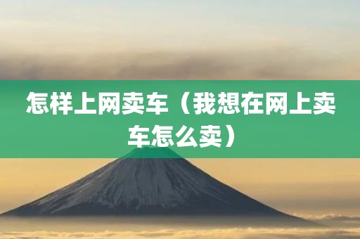 怎样上网卖车（我想在网上卖车怎么卖）