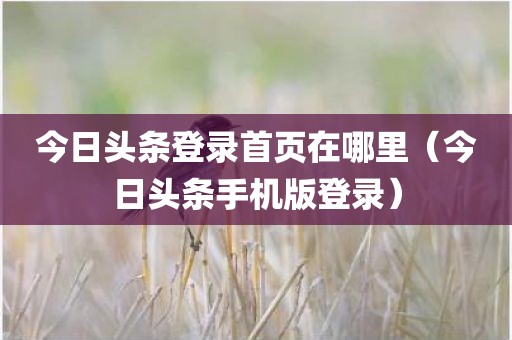 今日头条登录首页在哪里（今日头条手机版登录）