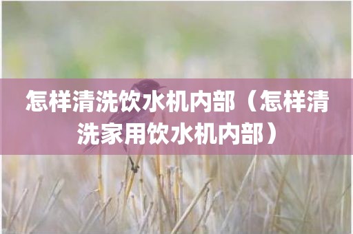 怎样清洗饮水机内部（怎样清洗家用饮水机内部）