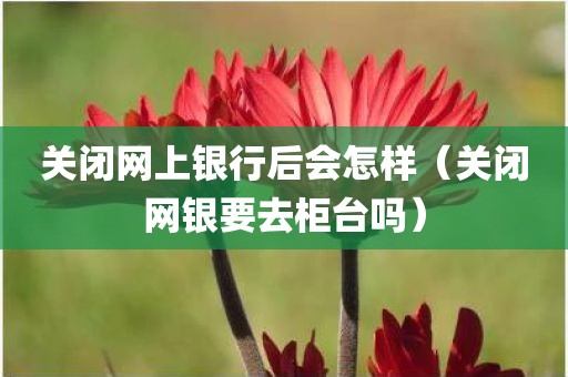 关闭网上银行后会怎样（关闭网银要去柜台吗）