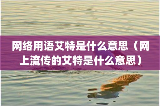 网络用语艾特是什么意思（网上流传的艾特是什么意思）