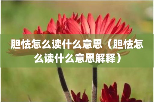 胆怯怎么读什么意思(胆怯怎么读什么意思解释)