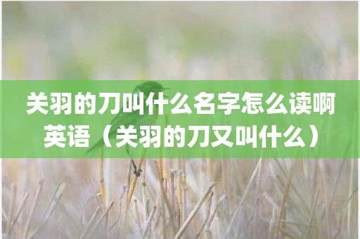 关羽的刀叫什么名字怎么读啊英语（关羽的刀又叫什么）