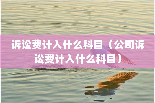 诉讼费计入什么科目（公司诉讼费计入什么科目）