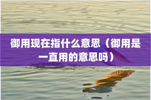 御用现在指什么意思（御用是一直用的意思吗）