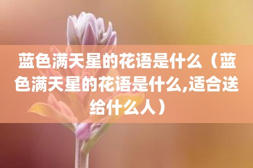 蓝色满天星的花语是什么（蓝色满天星的花语是什么,适合送给什么人）