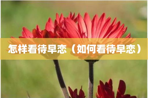 怎样看待早恋（如何看待早恋）