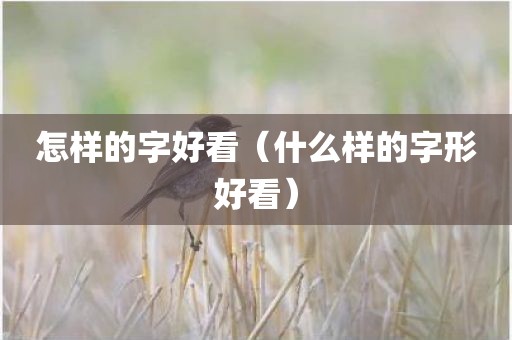 怎样的字好看（什么样的字形好看）